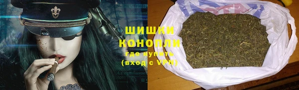 молекула духа Осташков