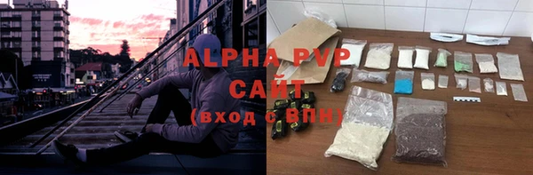 молекула духа Осташков