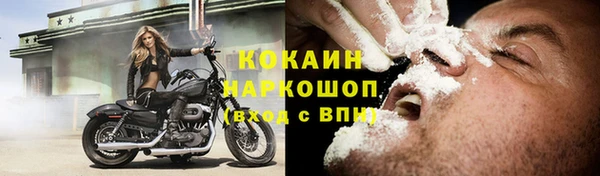 молекула духа Осташков