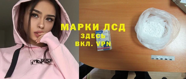 молекула духа Осташков