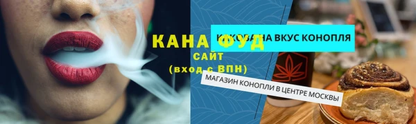 молекула духа Осташков