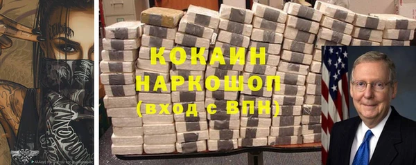 молекула духа Осташков