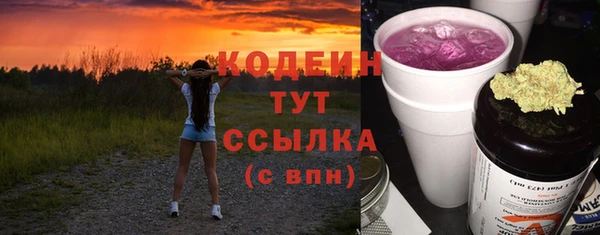 молекула духа Осташков