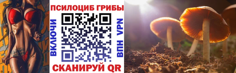mega онион  Ялта  Галлюциногенные грибы Psilocybine cubensis  купить  цена 