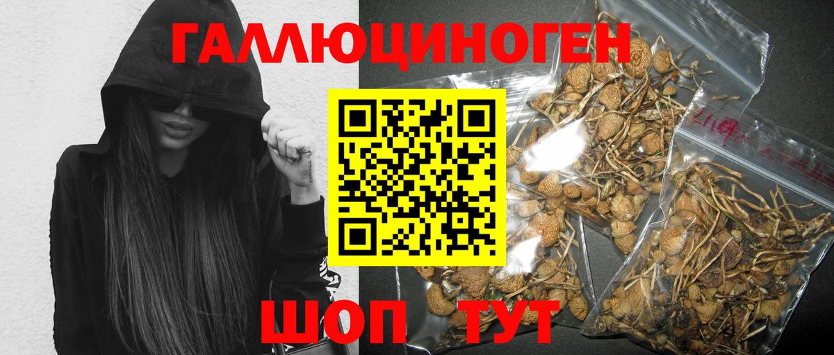 Псилоцибиновые грибы мухоморы Ялта