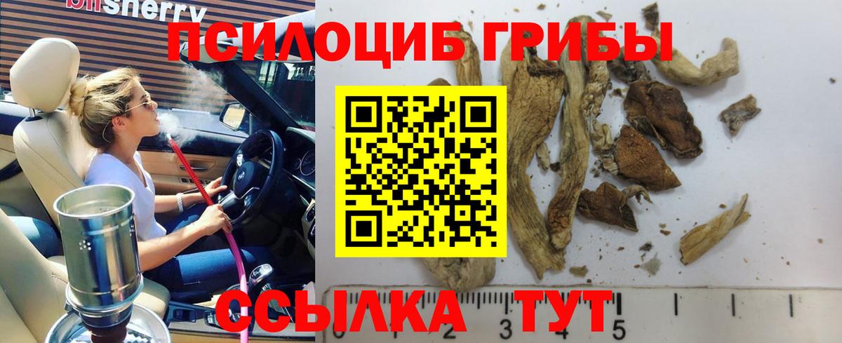 Галлюциногенные грибы Psilocybe  Псилоцибиновые грибы GOLDEN TEACHER  где найти   Ялта  Вход с VPN 
